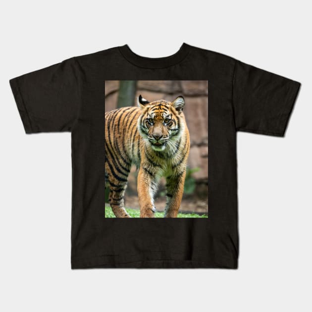 Eye To Eye With a Sumatran Tiger Kids T-Shirt by AndrewGoodall